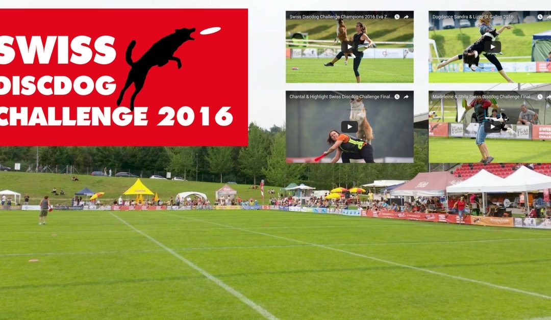 Rückblick Swiss Discdog Challenge 2016